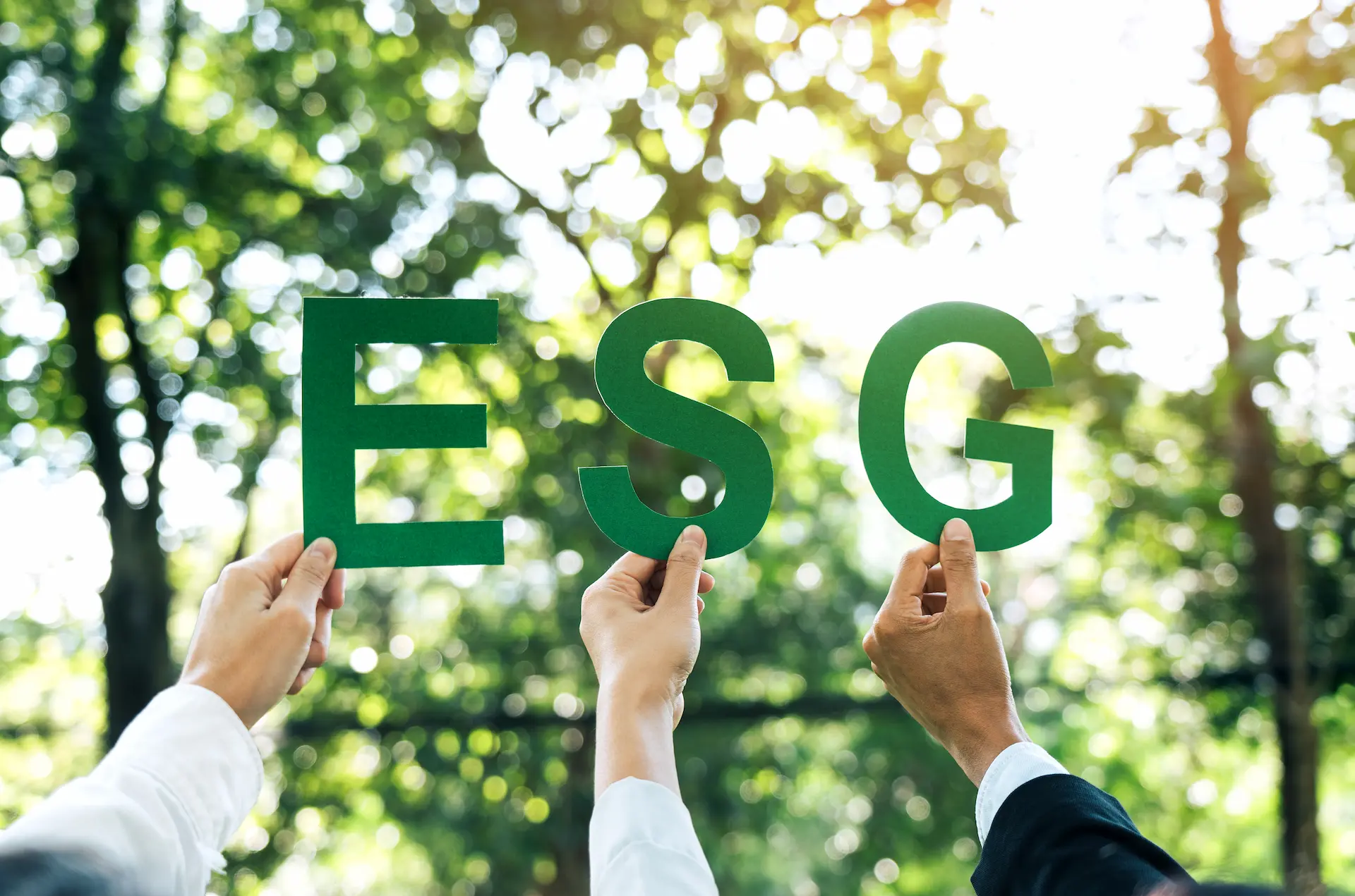Hands of business people holding E S G cut out letters
