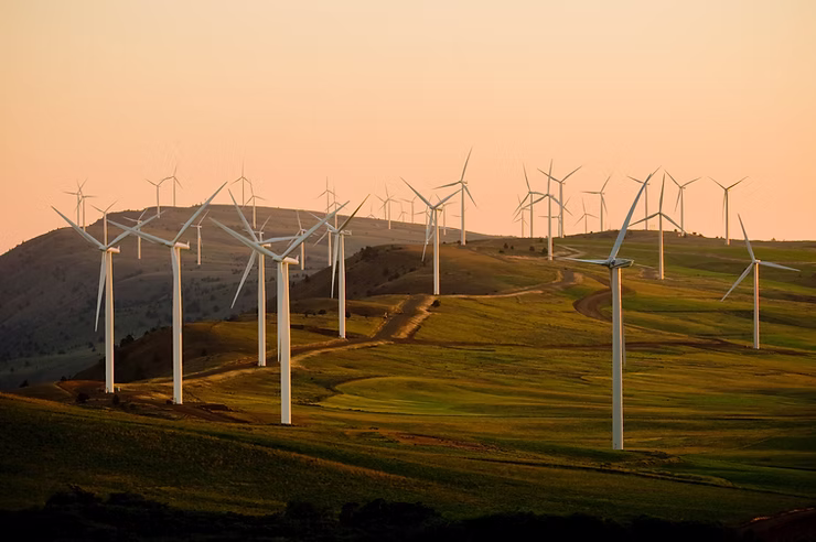 Wind farm at sunset